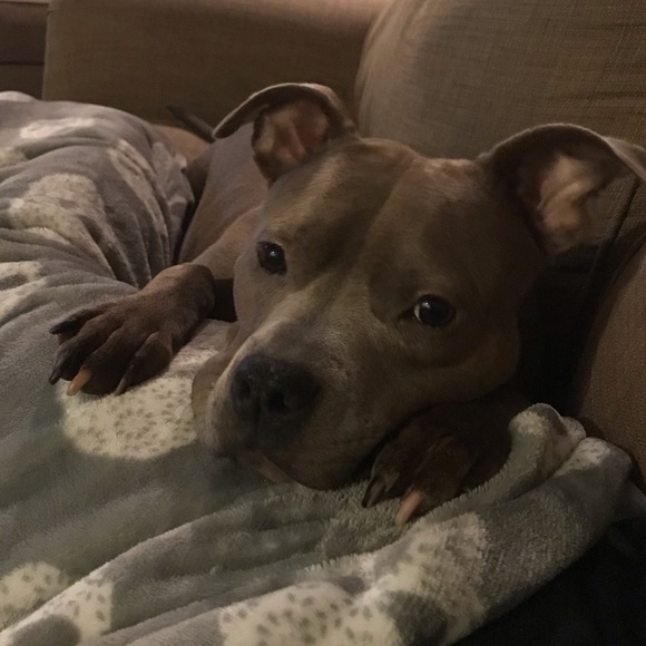 Meet your posher, Ashley - Picture 1 of 1